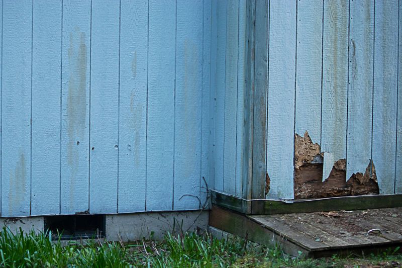 Siding Repair Solutions