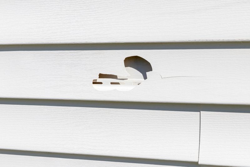 Vinyl Siding Repair - Image 12