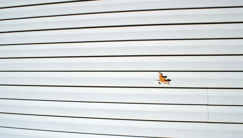 Local Siding Repair Specialists